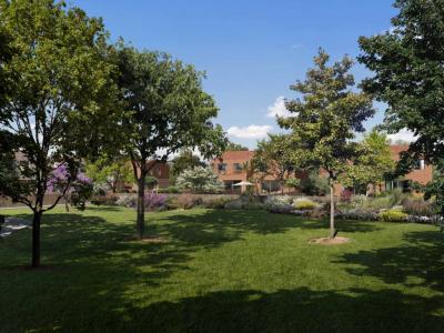 Programme immobilier neuf 31150 Fenouillet Maison neuve Fenouillet 5919