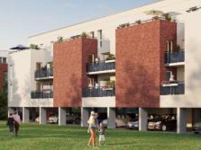 Programme immobilier neuf 59280 Armentières Programme neuf Armentières 12523