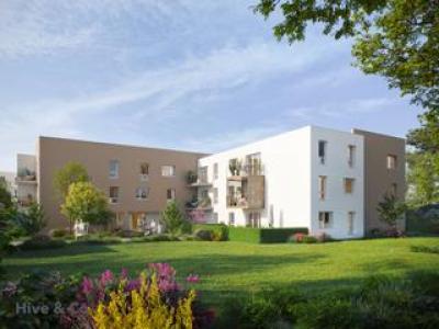 Programme immobilier neuf 53000 Laval Programme neuf Laval 8710