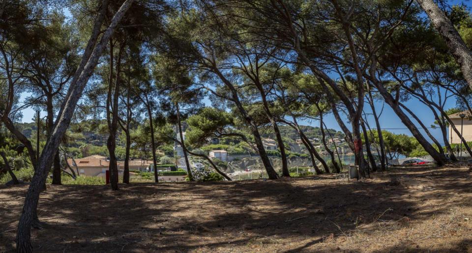 Programme immobilier neuf 31170 Tournefeuille TOU-4224