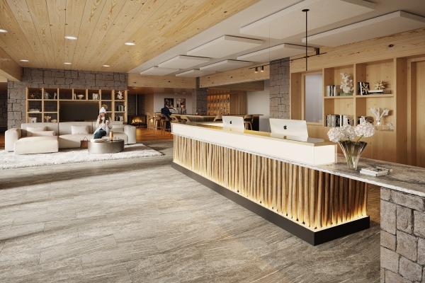 Appartement à LES DEUX ALPES 38860 image 4