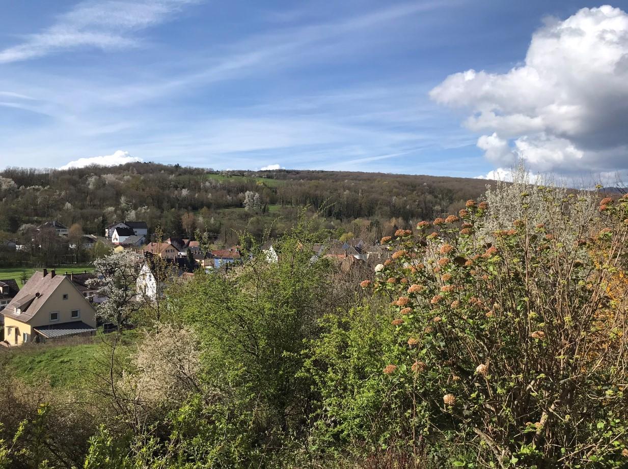 Appartement à Wasselonne 67310 image 2