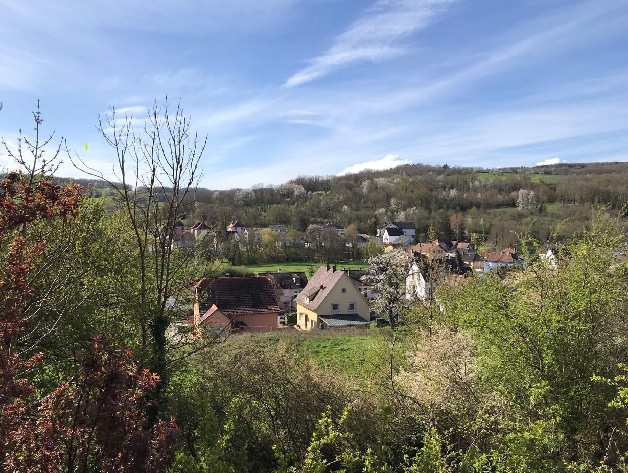 Appartement à Wasselonne 67310 image 3