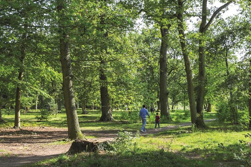 Appartement à Achères 78260 image 6