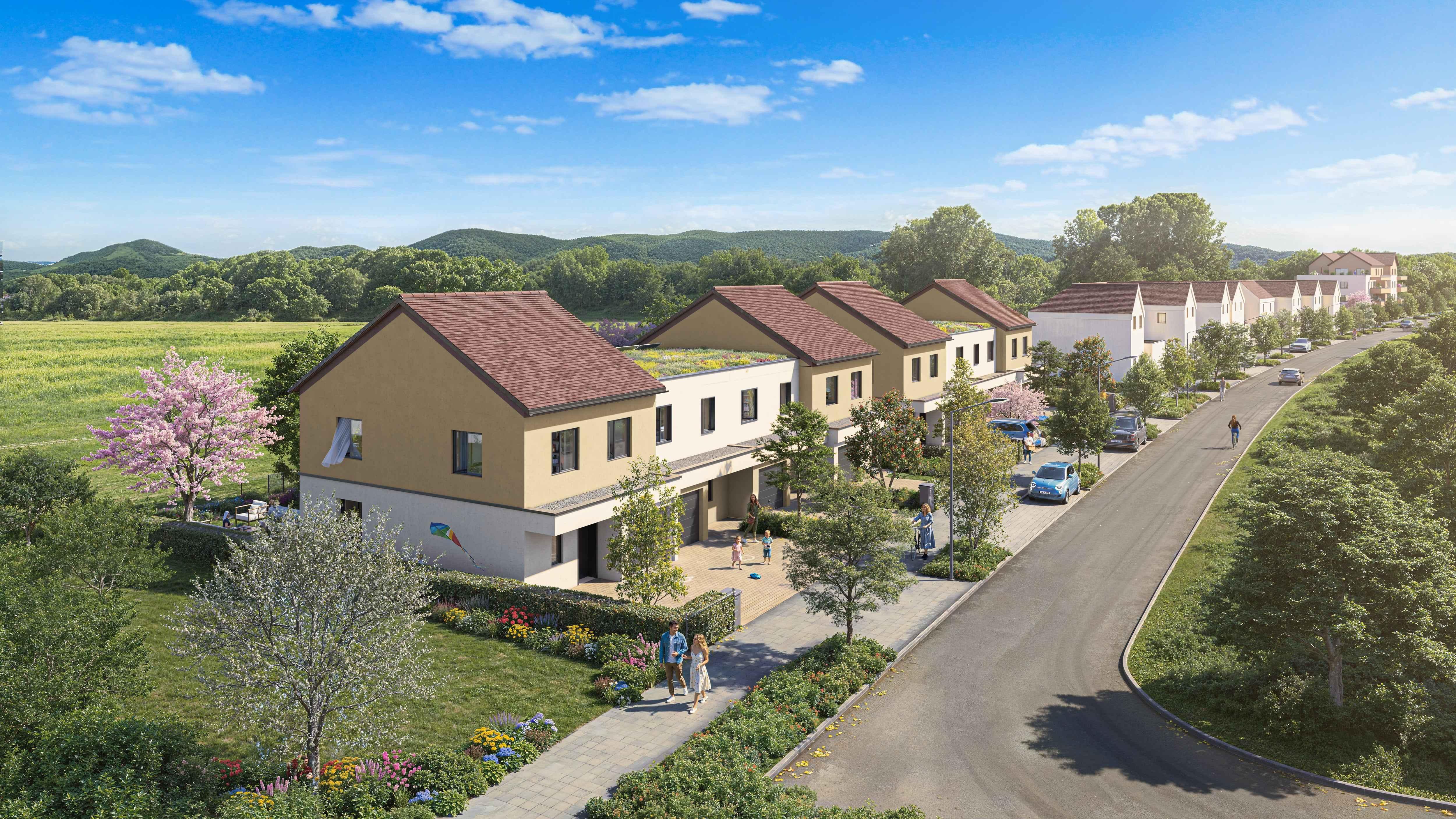 Maison à Ostwald 67540 image 5