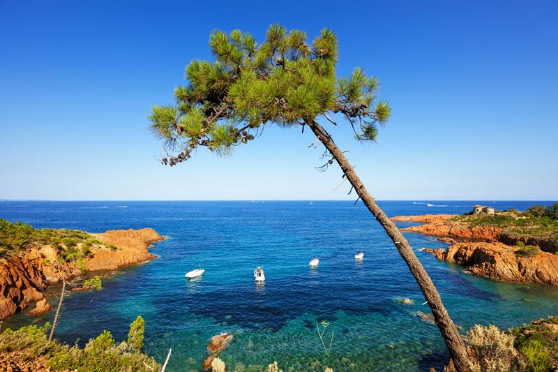 Programme immobilier neuf 83370 Fréjus Nue-Propriété Fréjus 10001