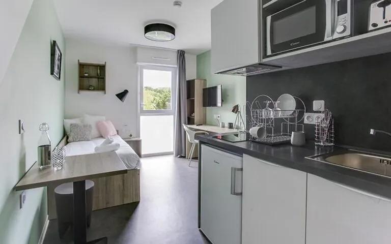 Appartement à Palaiseau 91120 image 4