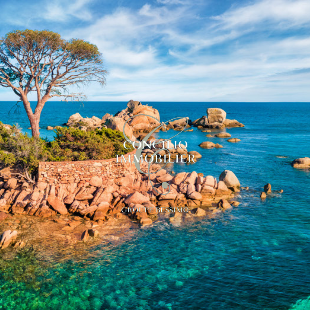 Appartement à Saint-Florent 20217 image 17