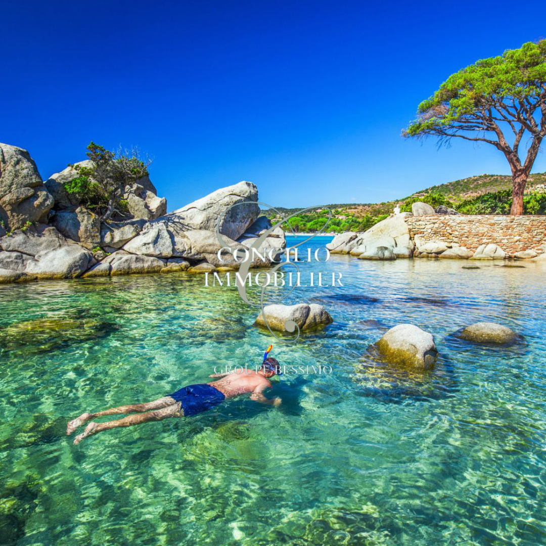 Appartement à Saint-Florent 20217 image 20