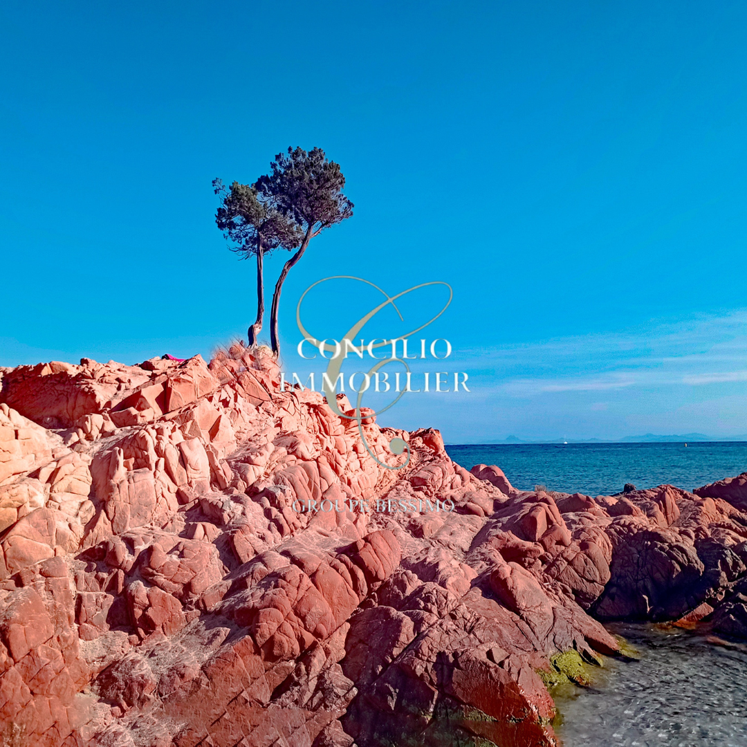 Appartement à Saint-Florent 20217 image 26