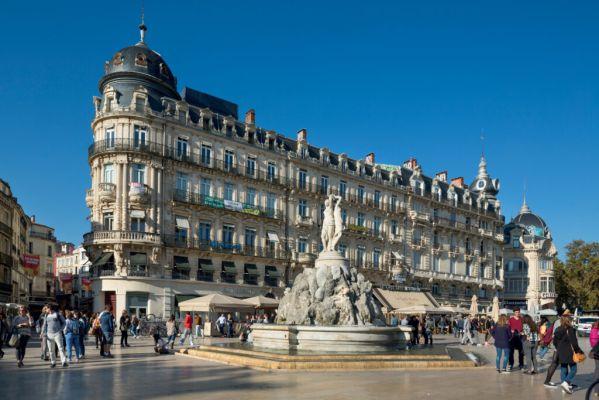 Appartement à Montpellier 34000 image 19