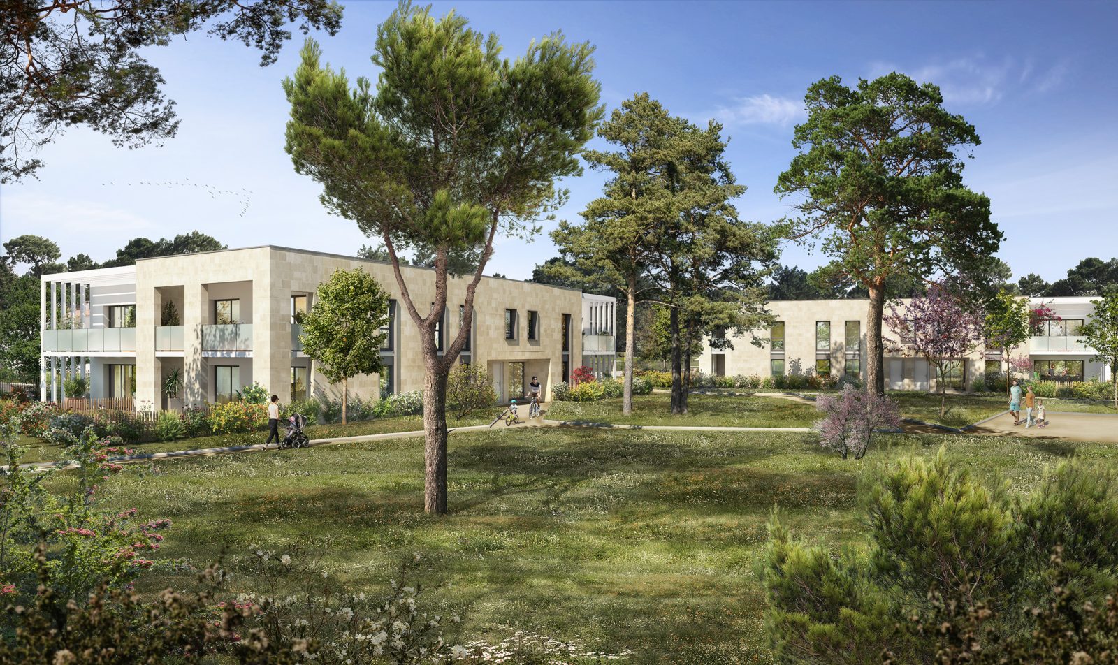 Programme neuf NAQUI-3344