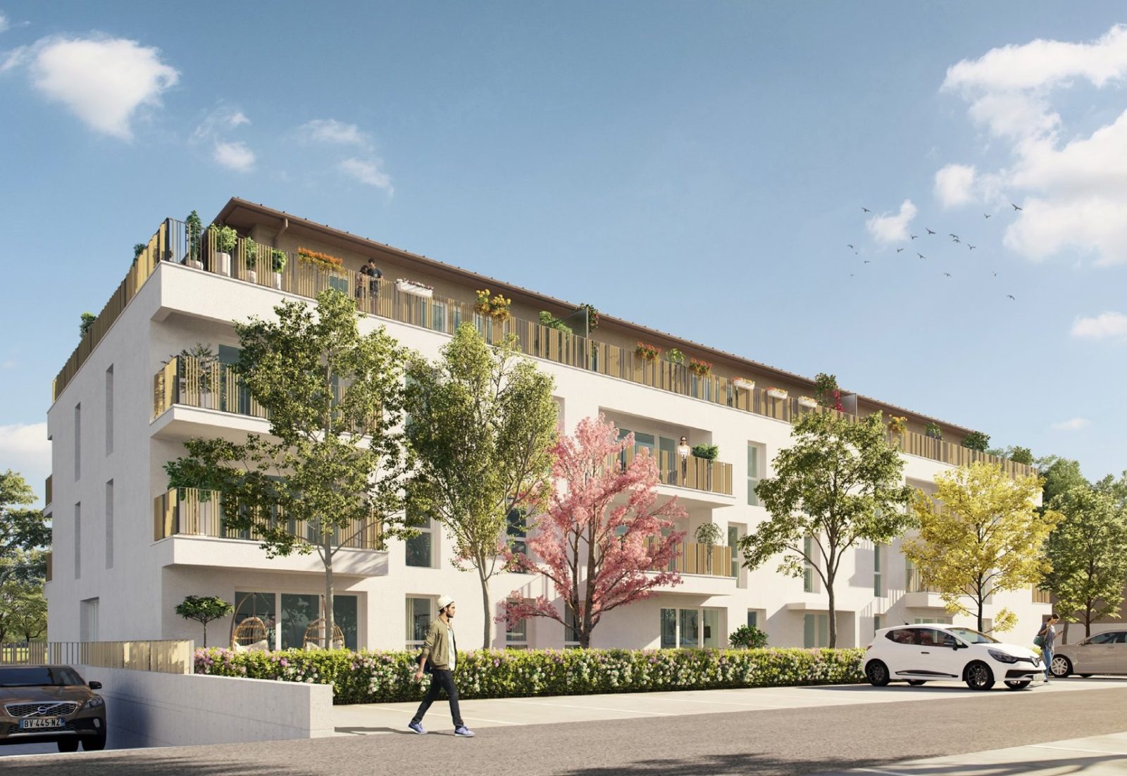 Appartement neuf Carbon-Blanc 13166