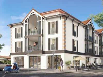 Programme immobilier neuf 33510 Andernos-les-Bains Logement neuf Andernos 11091