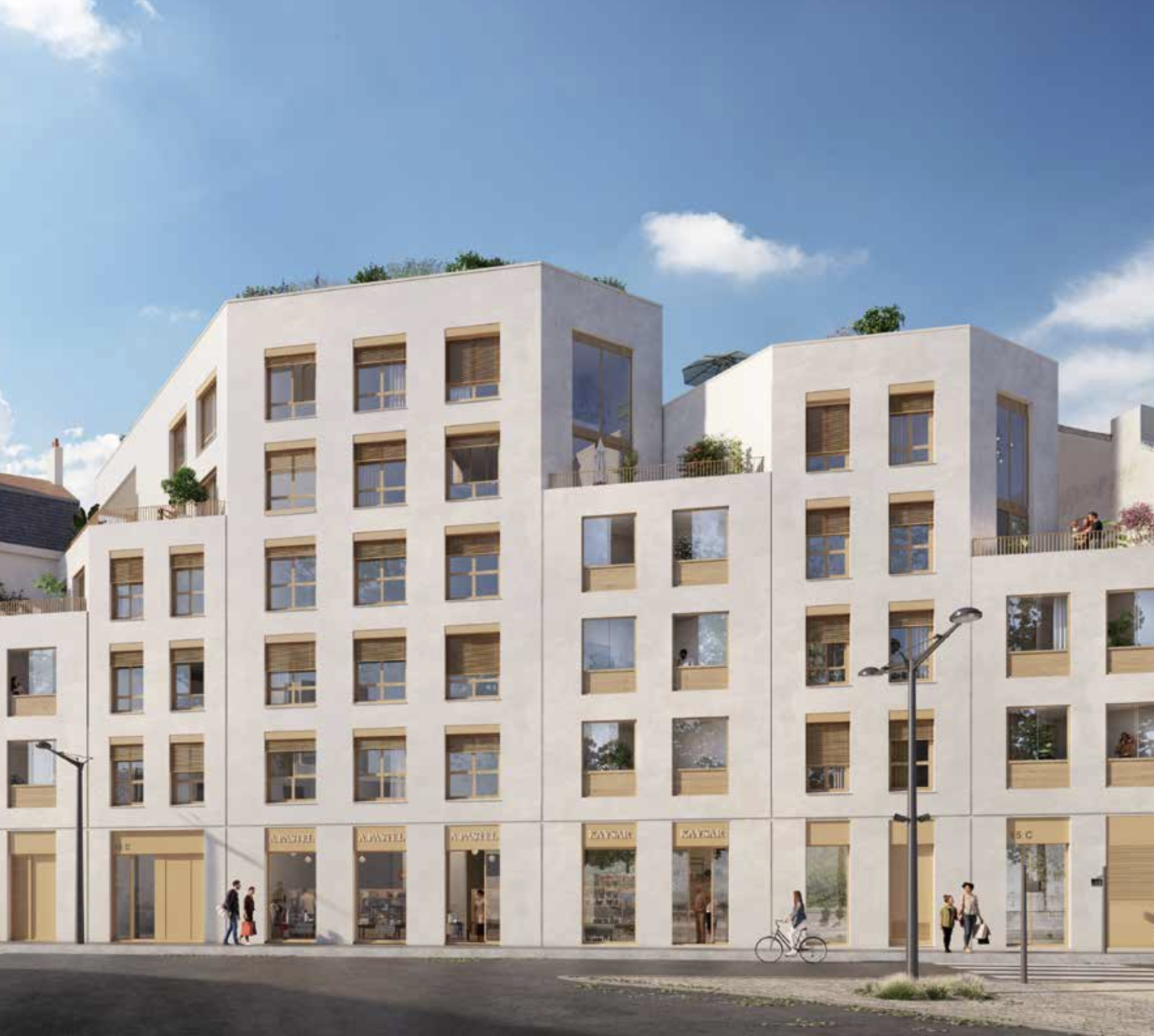 Nue-propriété Lyon 11059