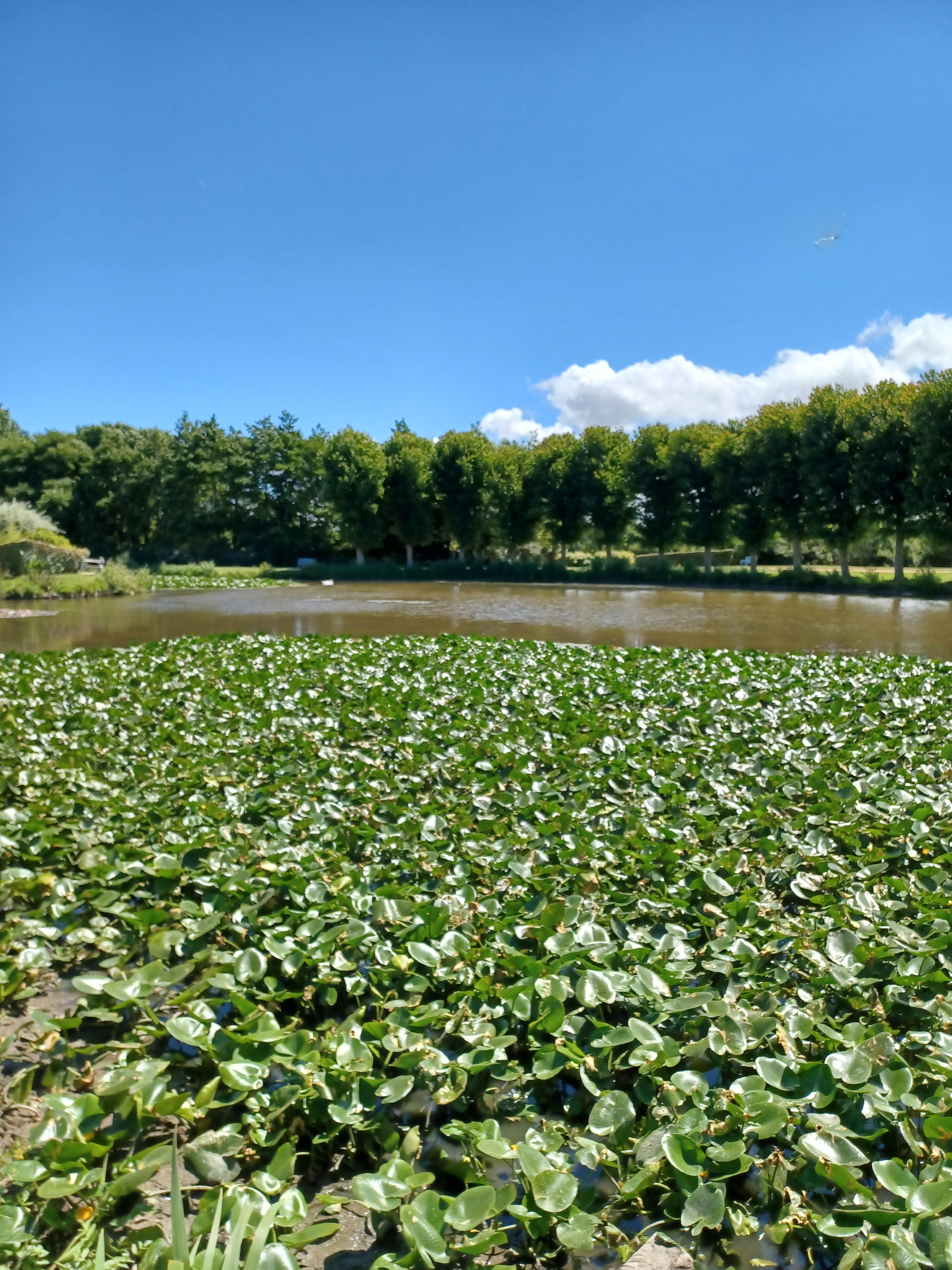 Appartement à Honfleur 14600 image 2