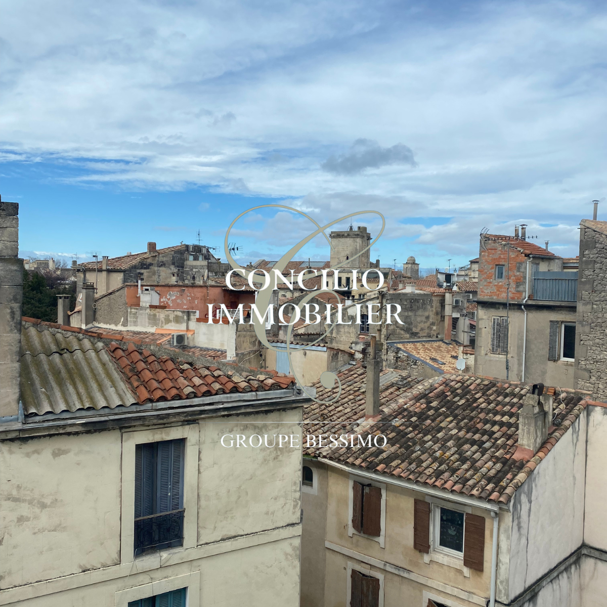 Appartement à Arles 13104 image 9