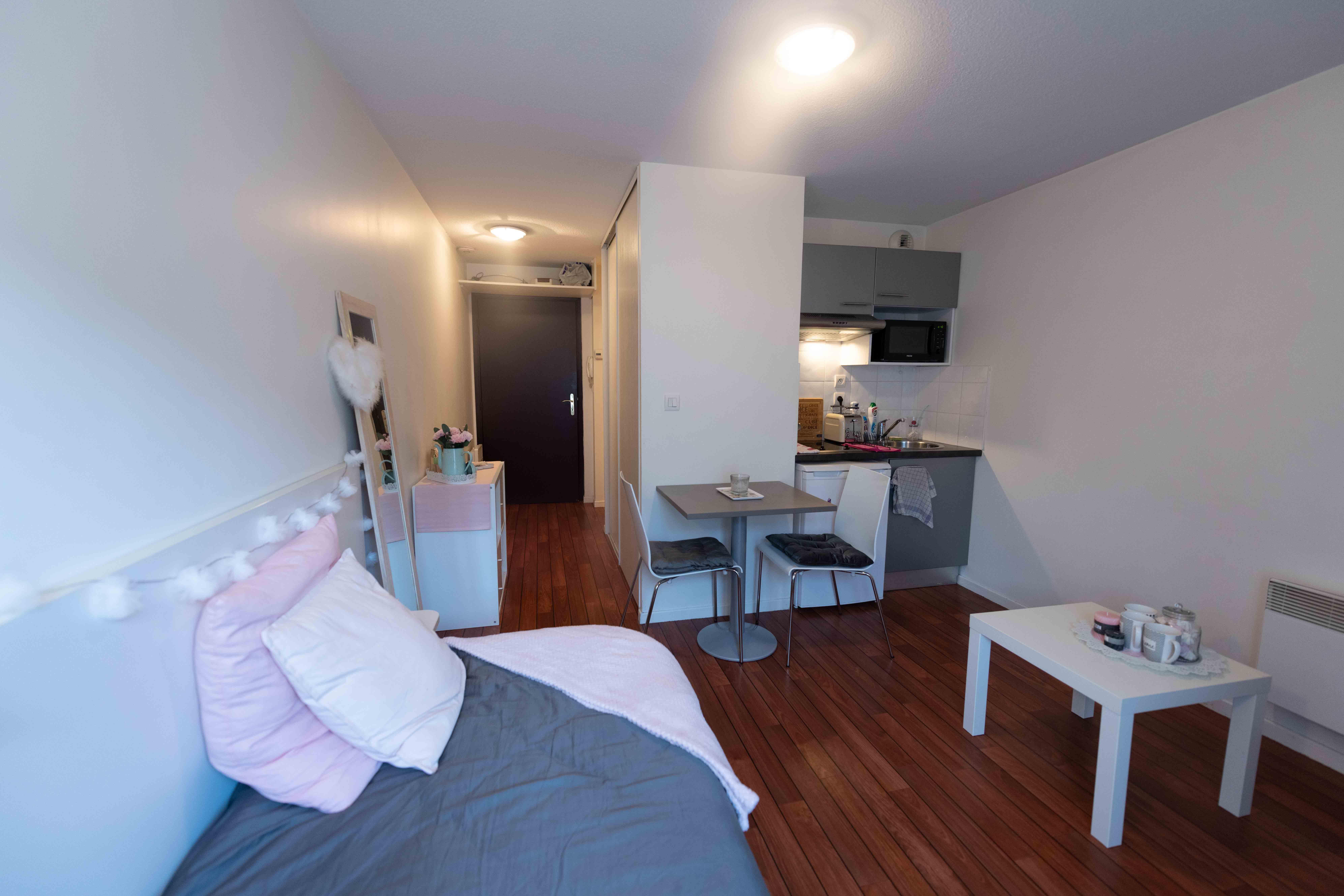 Appartement à Lyon 07 69007 image 4