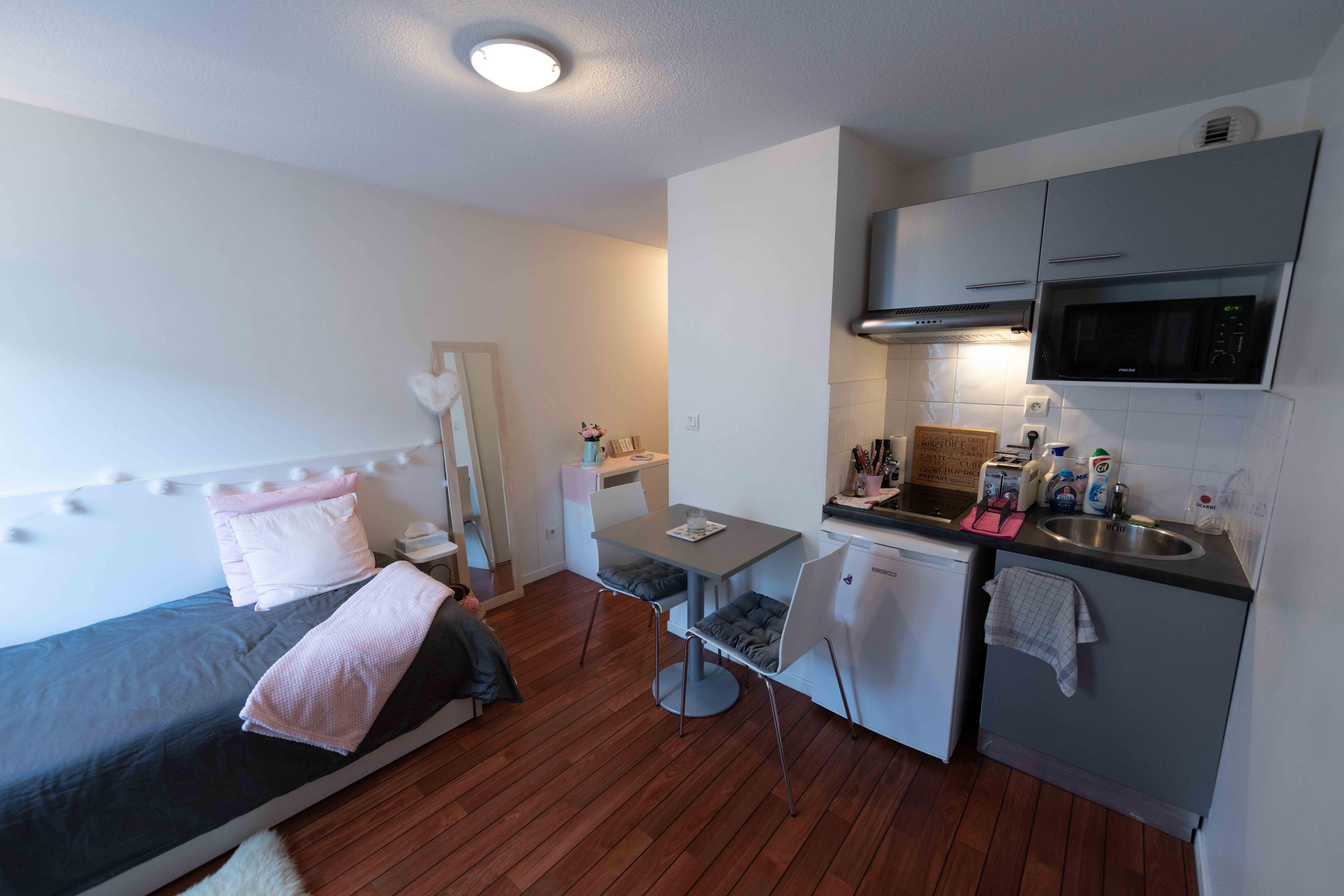Appartement à Lyon 07 69007 image 6