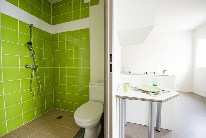 Appartement à Lyon 07 69007 image 6