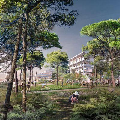 Appartement à Bordeaux 33000 image 14
