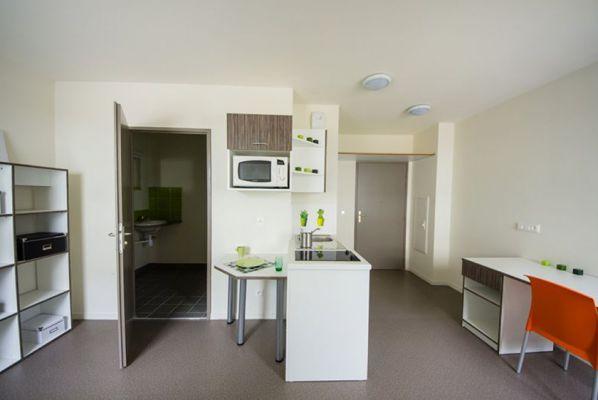 Appartement à Lyon 07 69007 image 10