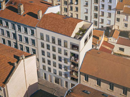 Appartement à Lyon 07 69007 image 11