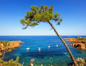 Programme immobilier neuf 83370 Fréjus Nue-Propriété Fréjus 10001
