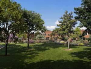 Programme immobilier neuf 31150 Fenouillet Maison neuve Fenouillet 5919