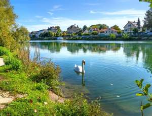 Programme immobilier neuf 77400 Pomponne POM-16357