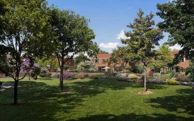 Programme immobilier neuf 31150 Fenouillet Maison neuve Fenouillet 5919