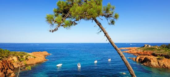 Programme immobilier neuf 83370 Fréjus Nue-Propriété Fréjus 10001