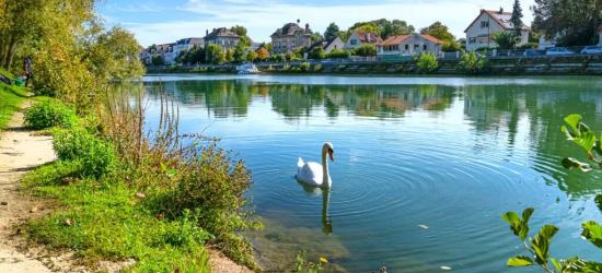 Programme immobilier neuf 77400 Pomponne POM-16357