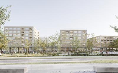 Programme immobilier neuf 31400 Toulouse Logement neuf Toulouse 12785
