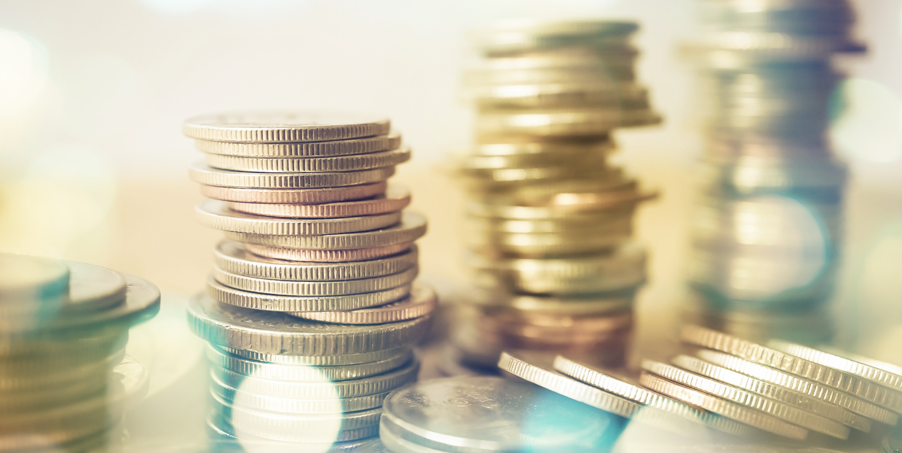 LES NICHES FISCALES