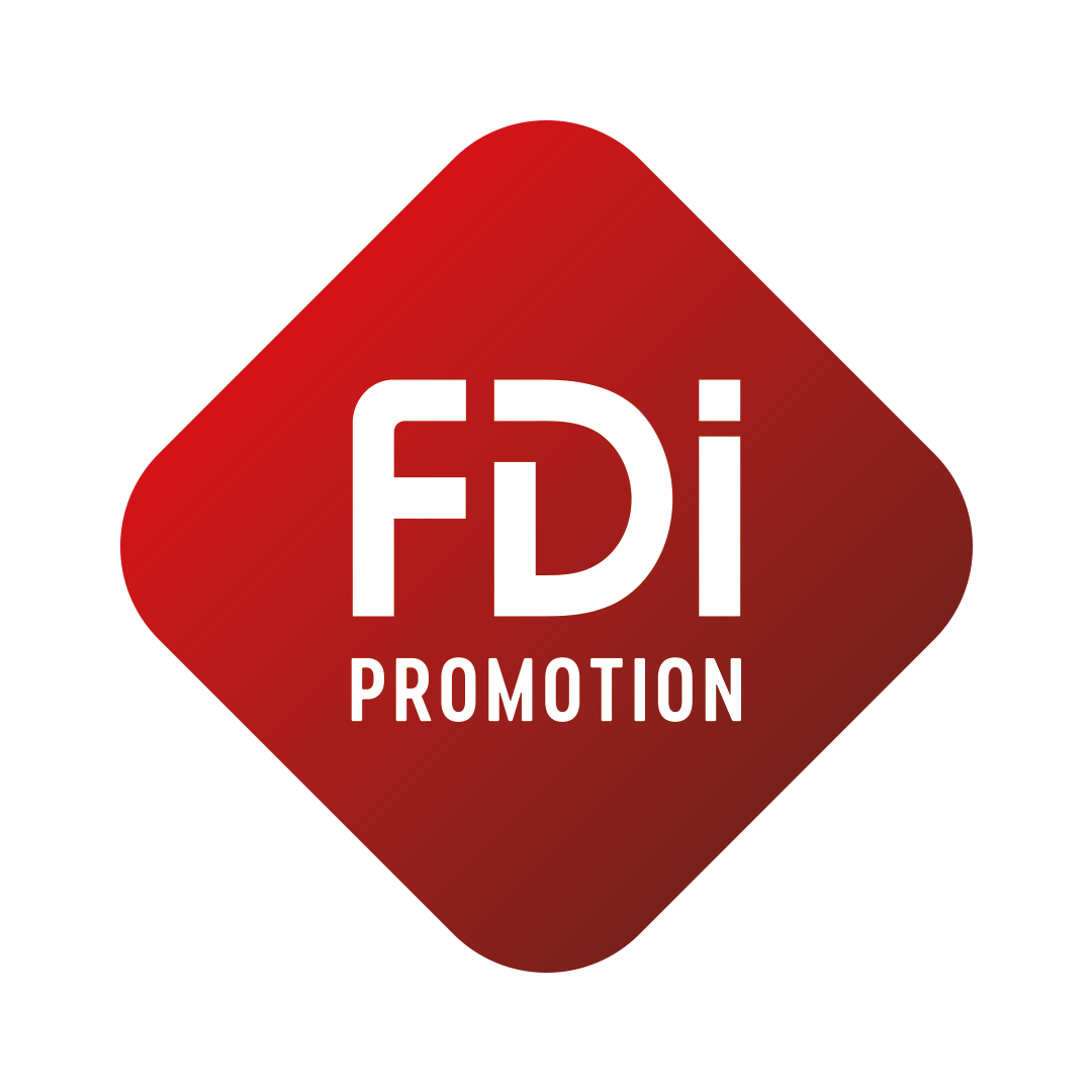 FDI PROMOTION
